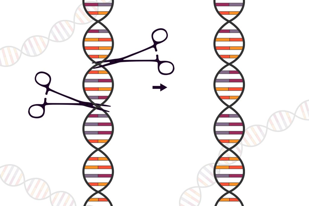 Crispr